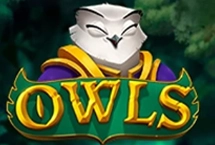 Owls